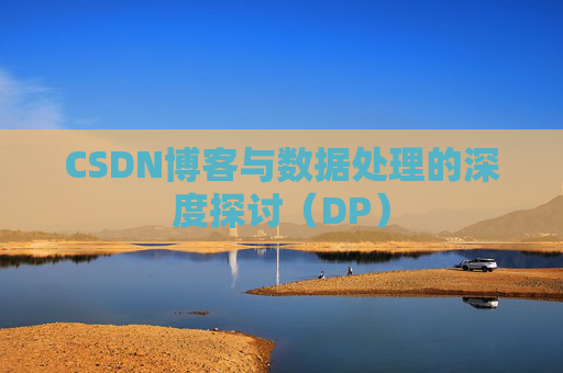 CSDN博客与数据处理的深度探讨（DP）